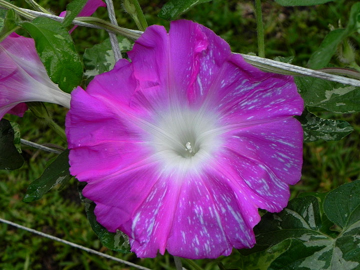 DSCN9751