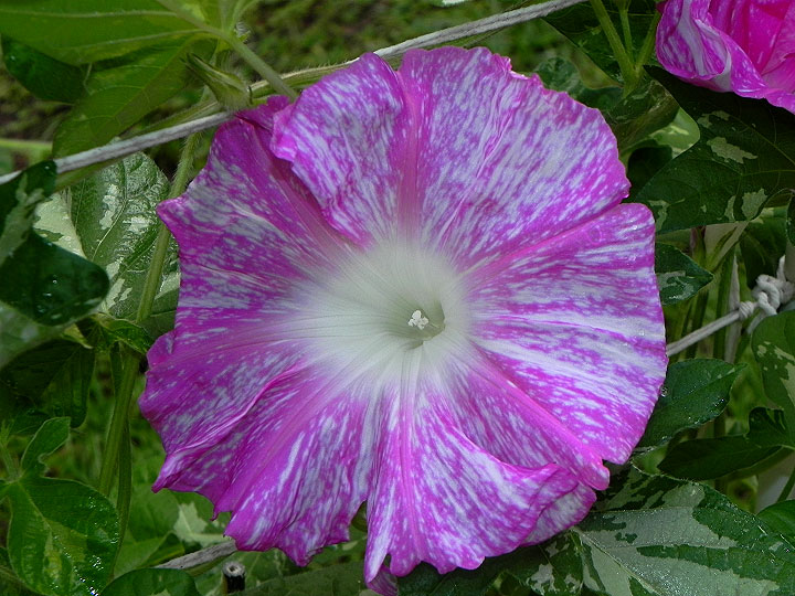 DSCN9752