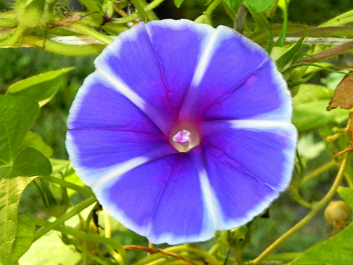 DSCN9754