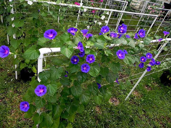 DSCN9756