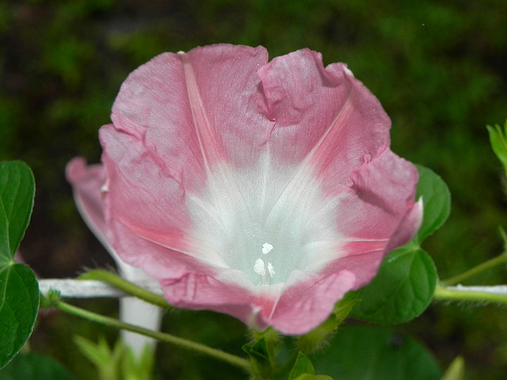 DSCN9769
