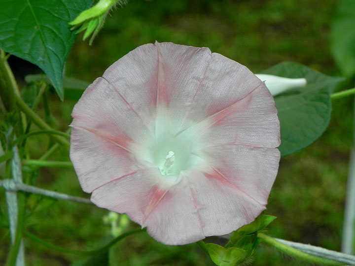 DSCN9773