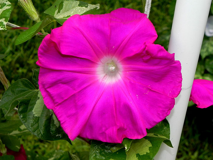 DSCN9786