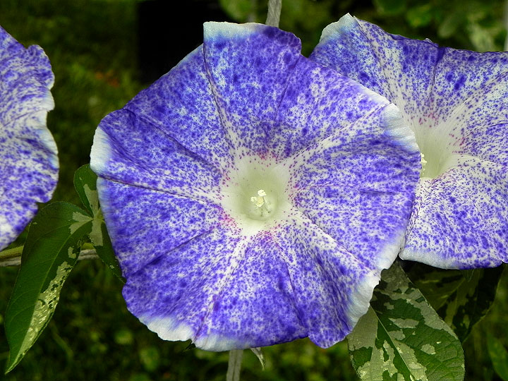 DSCN9814