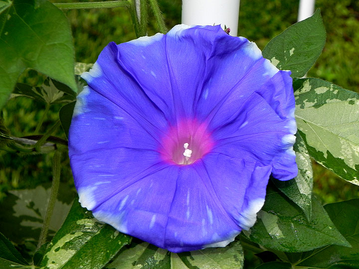 DSCN9829