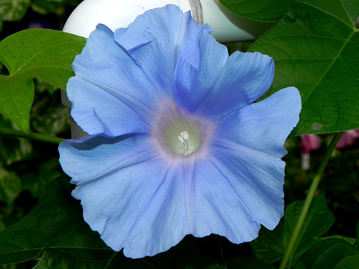 DSCN9837