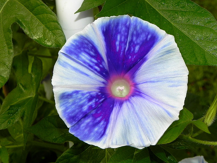 DSCN9855_01