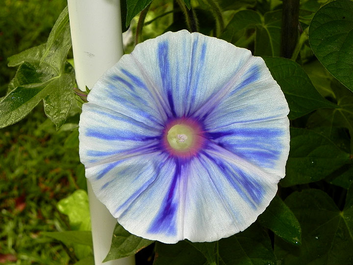 DSCN9856