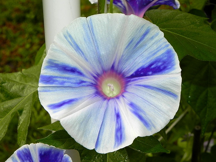DSCN9857_01
