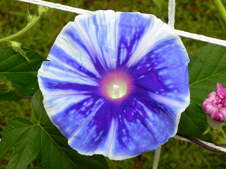 DSCN9858