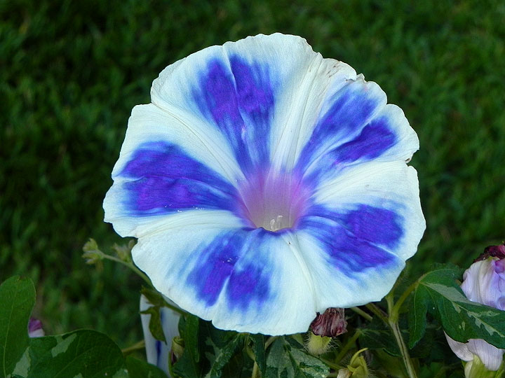 DSCN9861