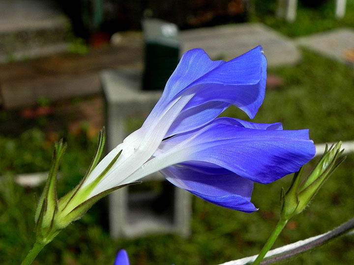 DSCN9862