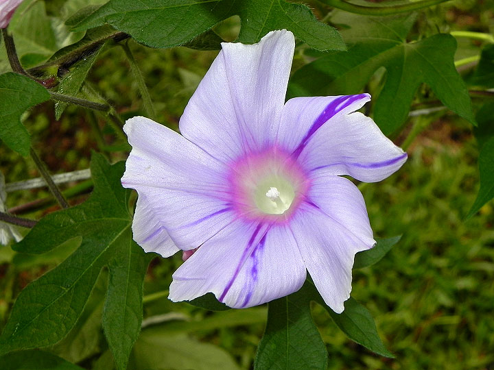 DSCN9871