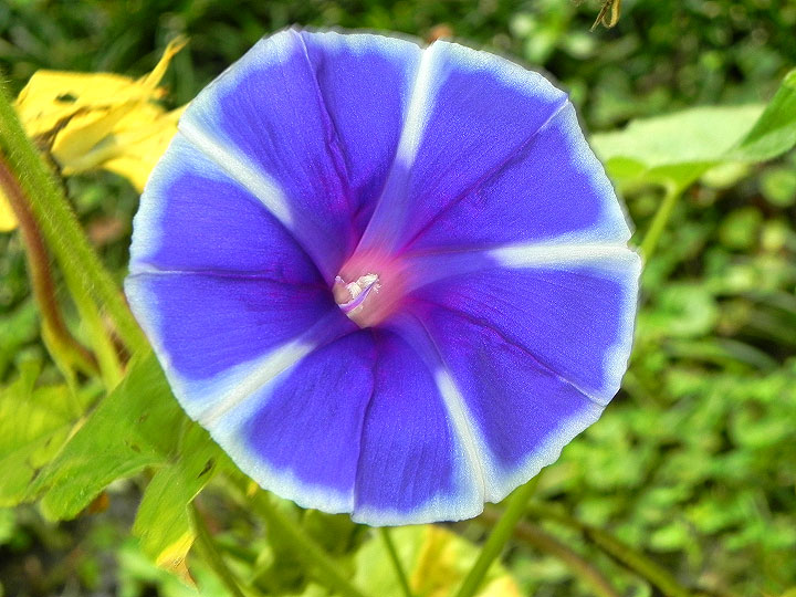 DSCN9918