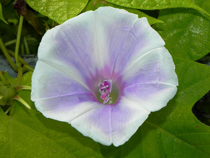 DSCN9949