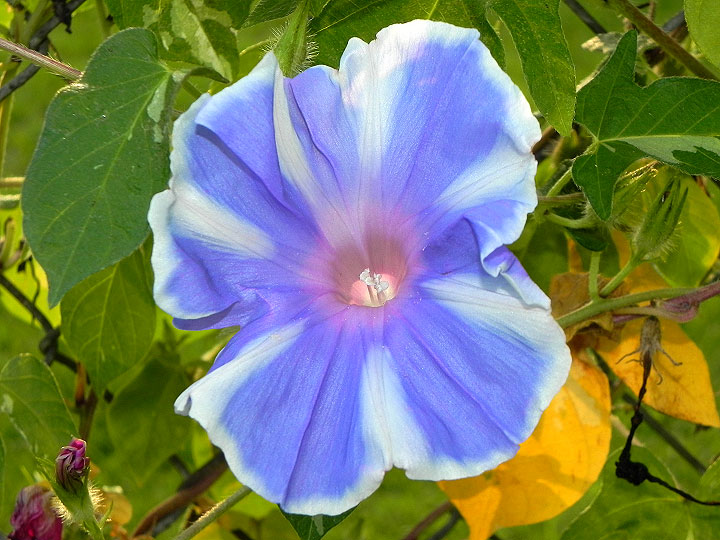 DSCN9959