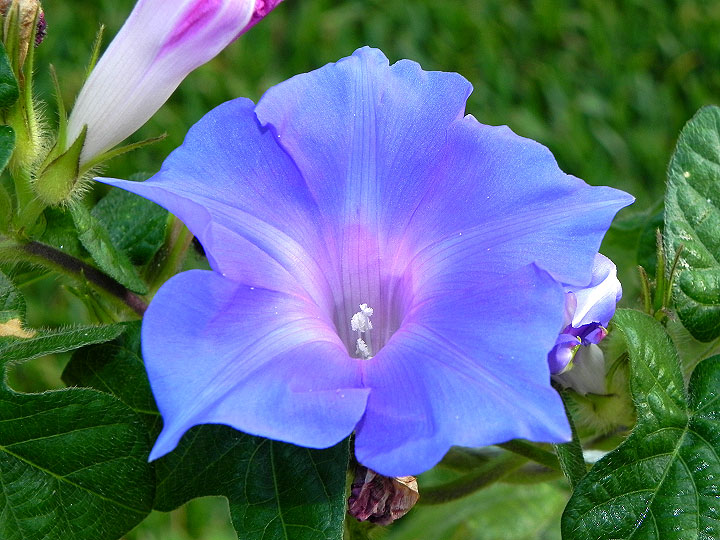 DSCN9978