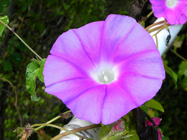 1DSCN3356