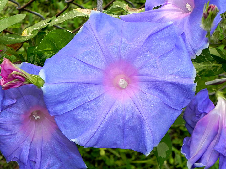 1DSCN4657_01