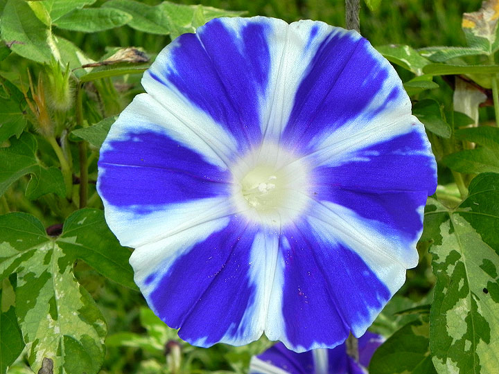 1DSCN8634