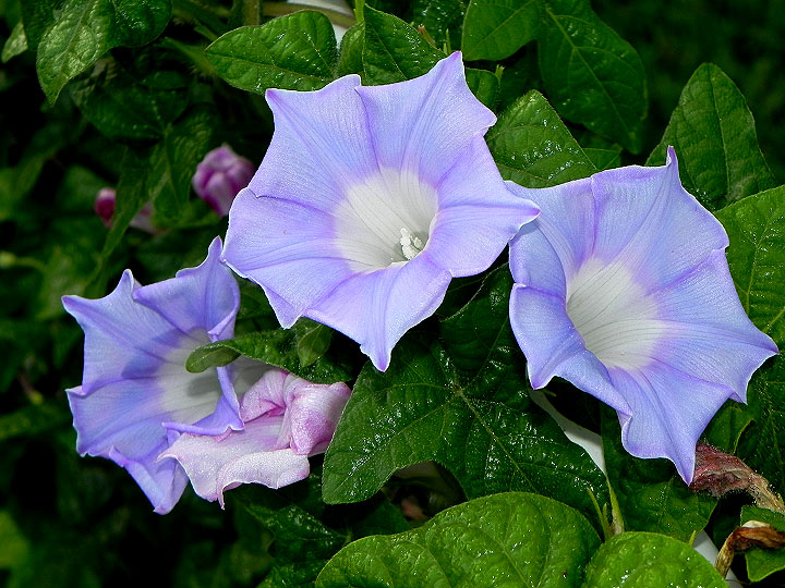 2DSCN0090