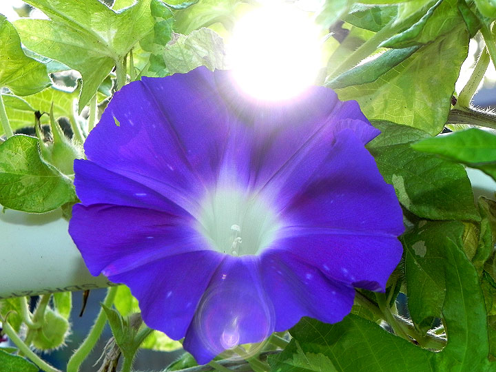 2DSCN0550