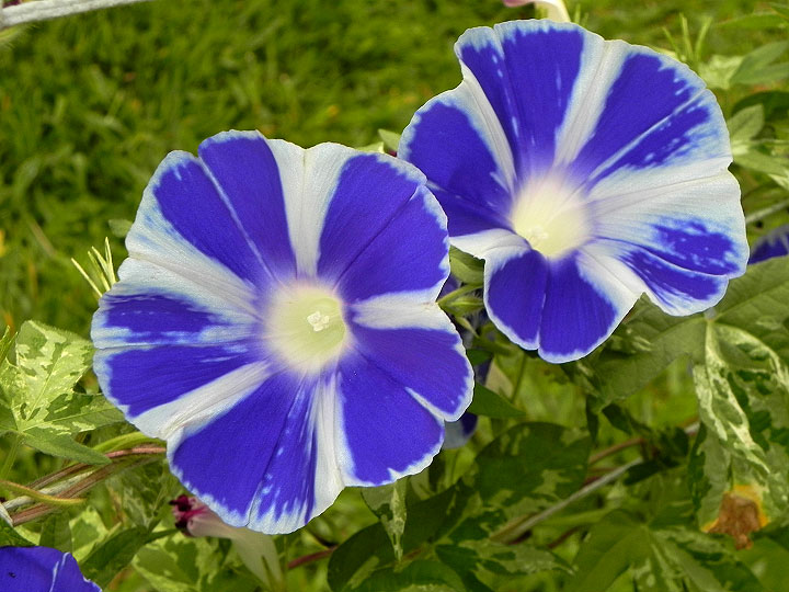 2DSCN2240