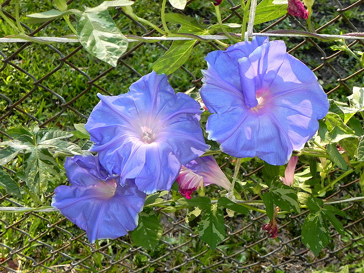 3DSCN0913