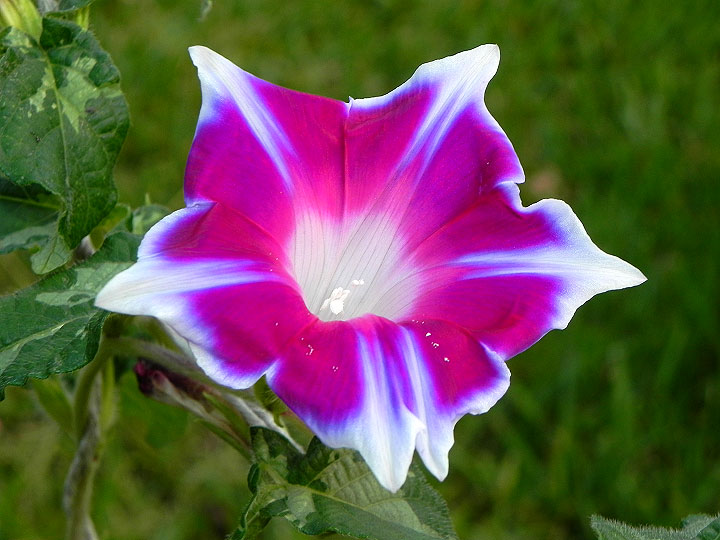 3DSCN2452