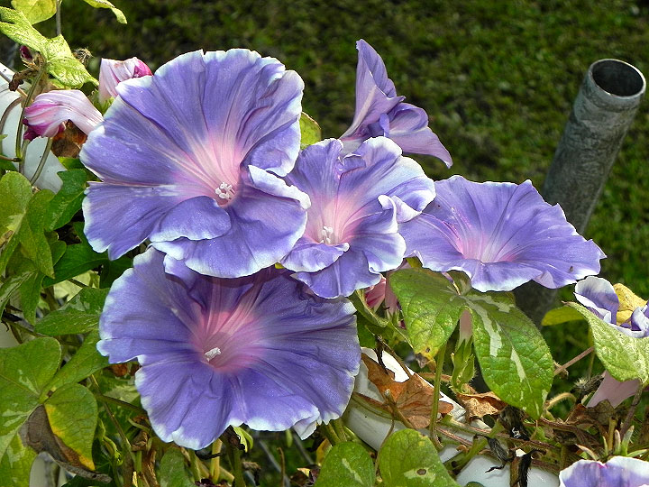 3DSCN3352