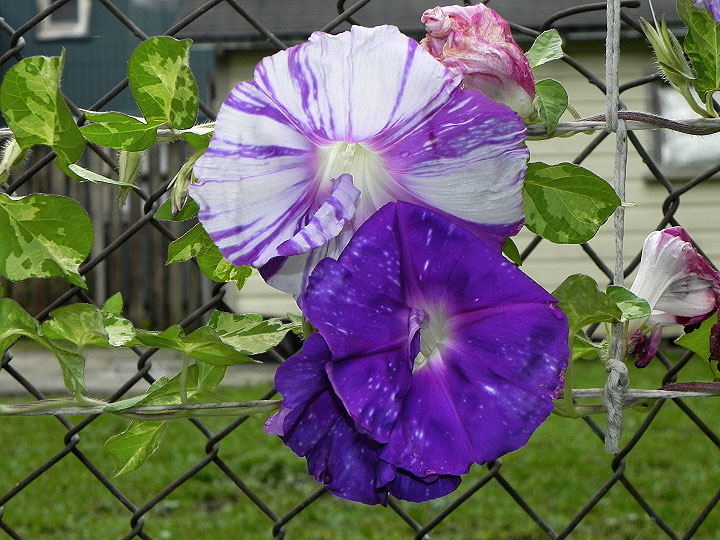 3DSCN3986