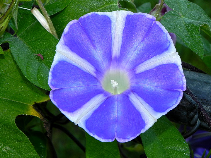 3DSCN4033