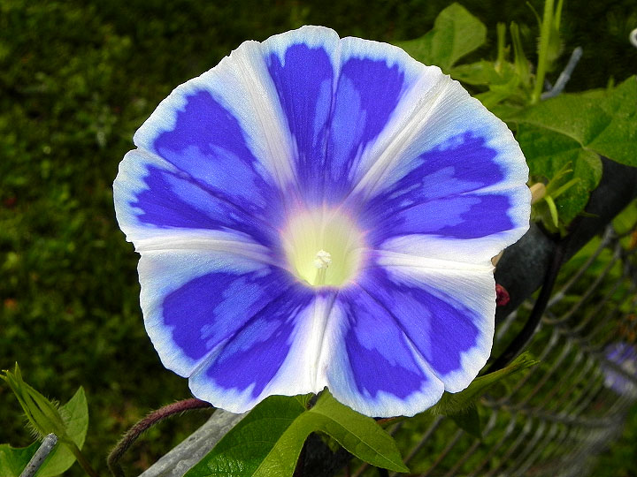 4DSCN3131