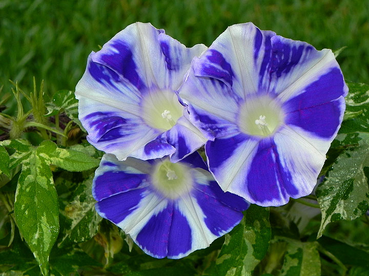 4DSCN4061