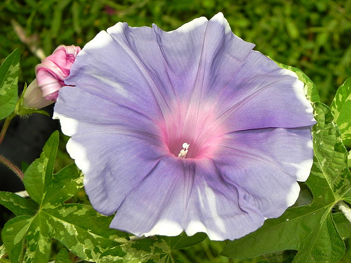4DSCN4655_01