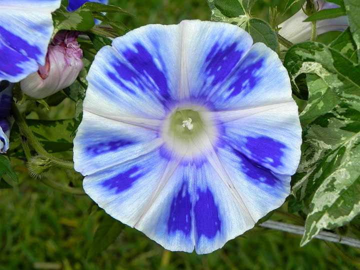 5DSCN0495