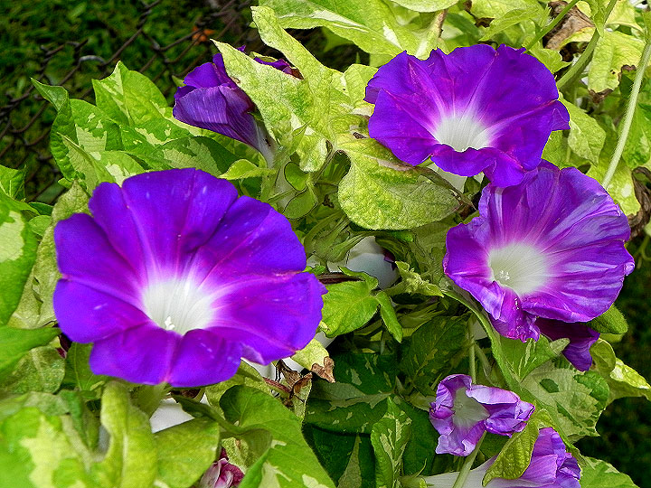 5DSCN0659