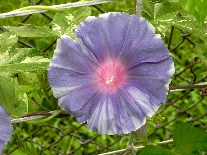 5DSCN4888_01