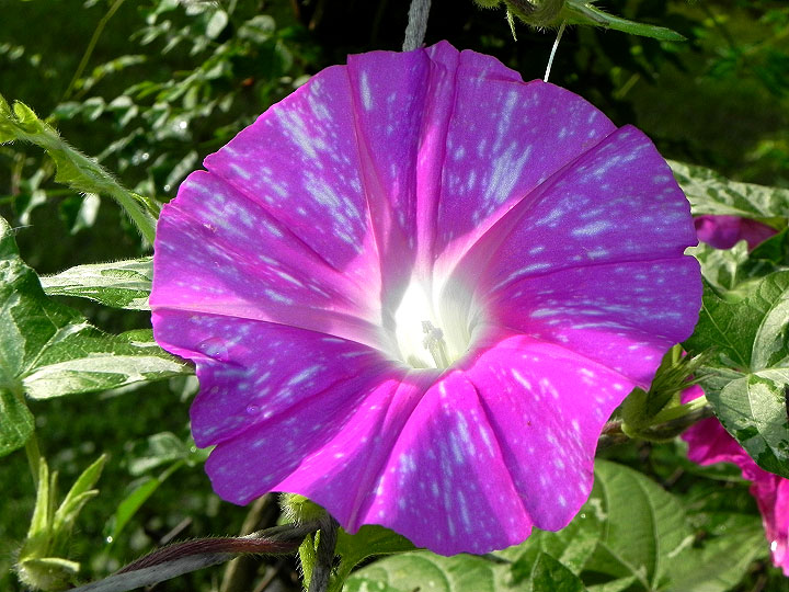 5DSCN5350_01
