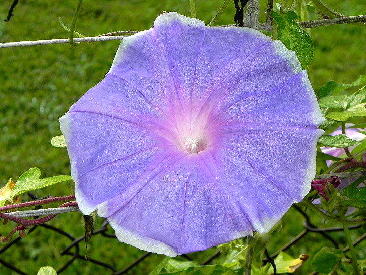 5DSCN8498