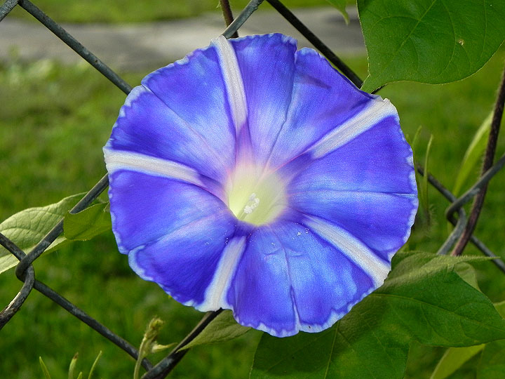 6DSCN5701_01