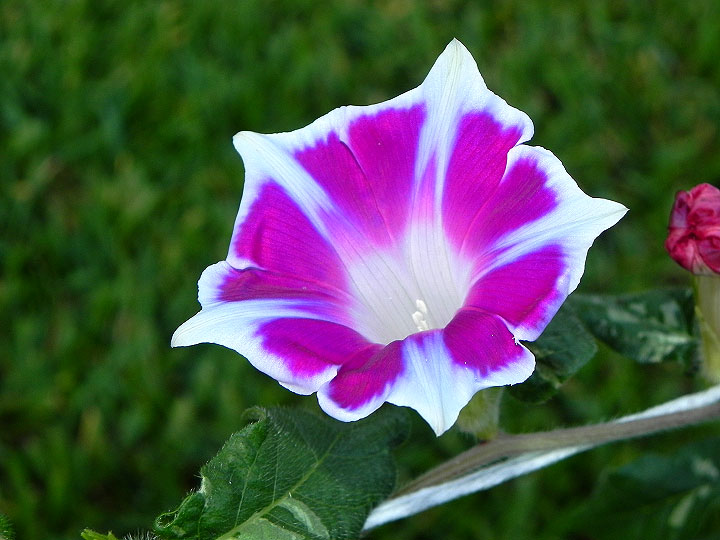 6DSCN9822