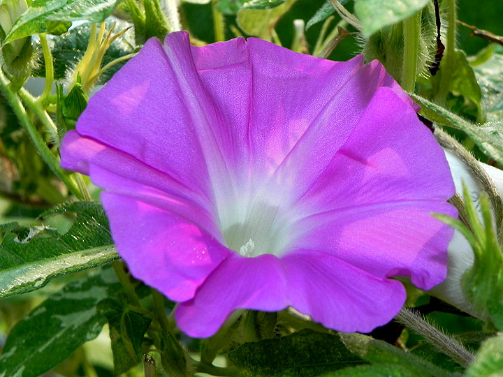DSCN0050