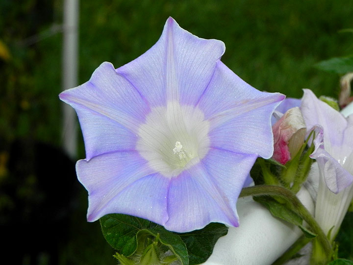 DSCN0092