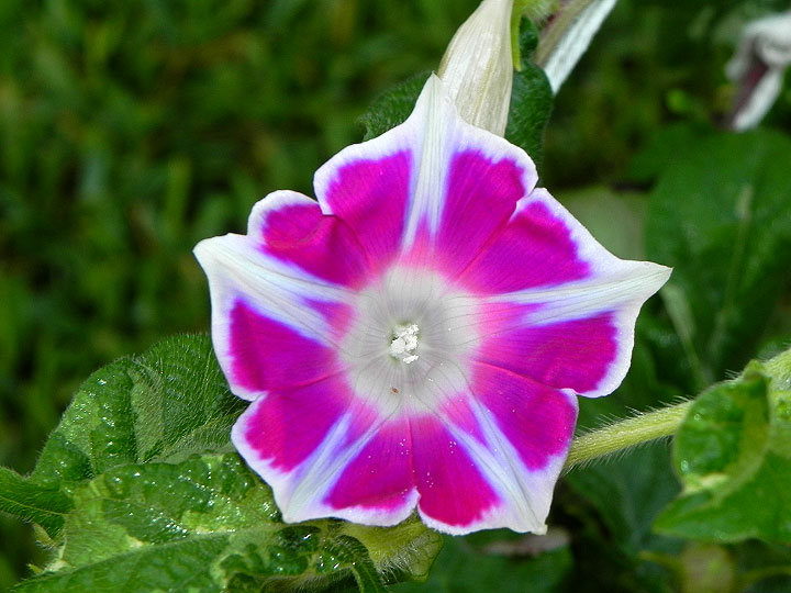 DSCN0100