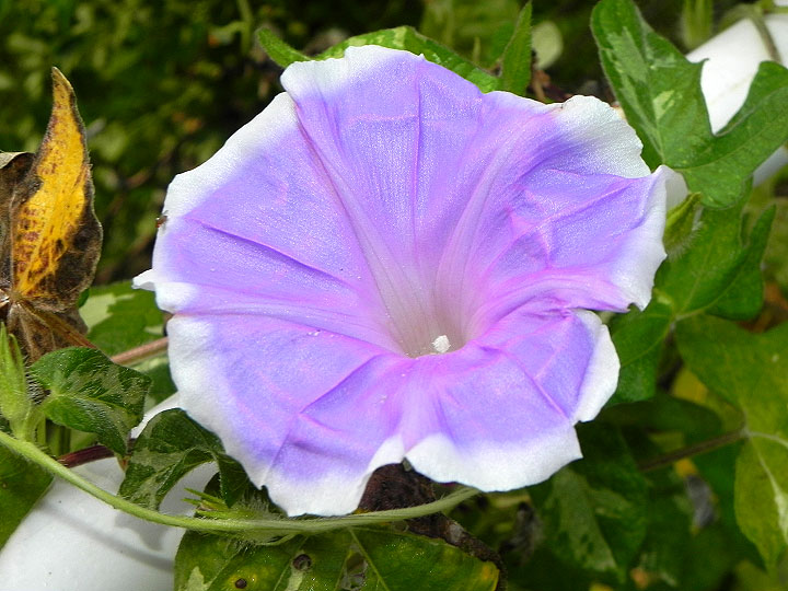 DSCN0191