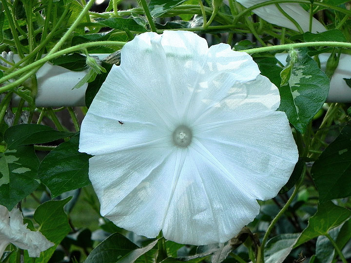 DSCN0196