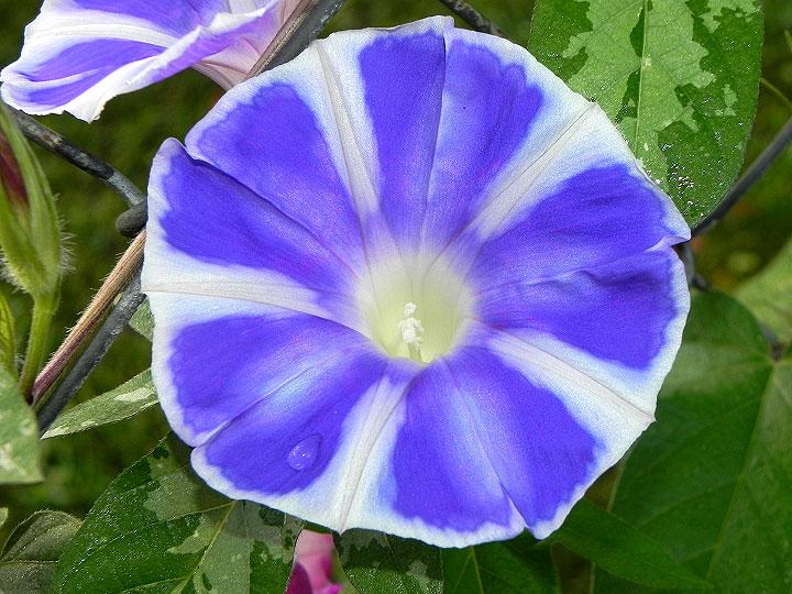 DSCN0198