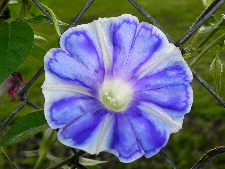 DSCN0200