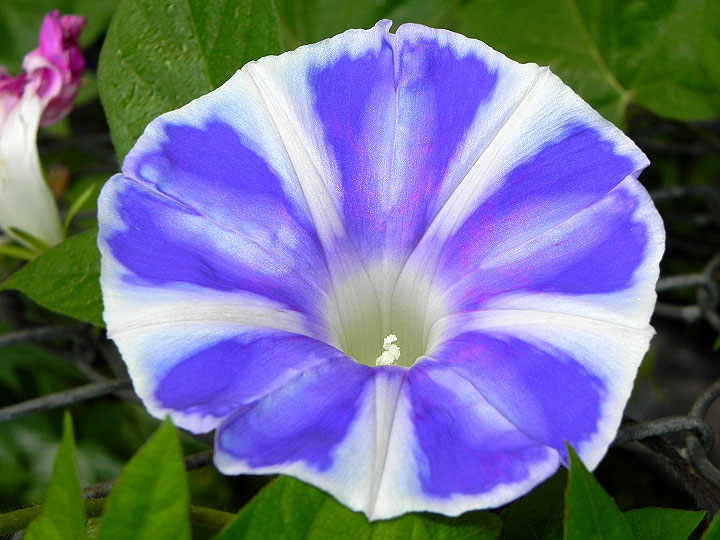 DSCN0202